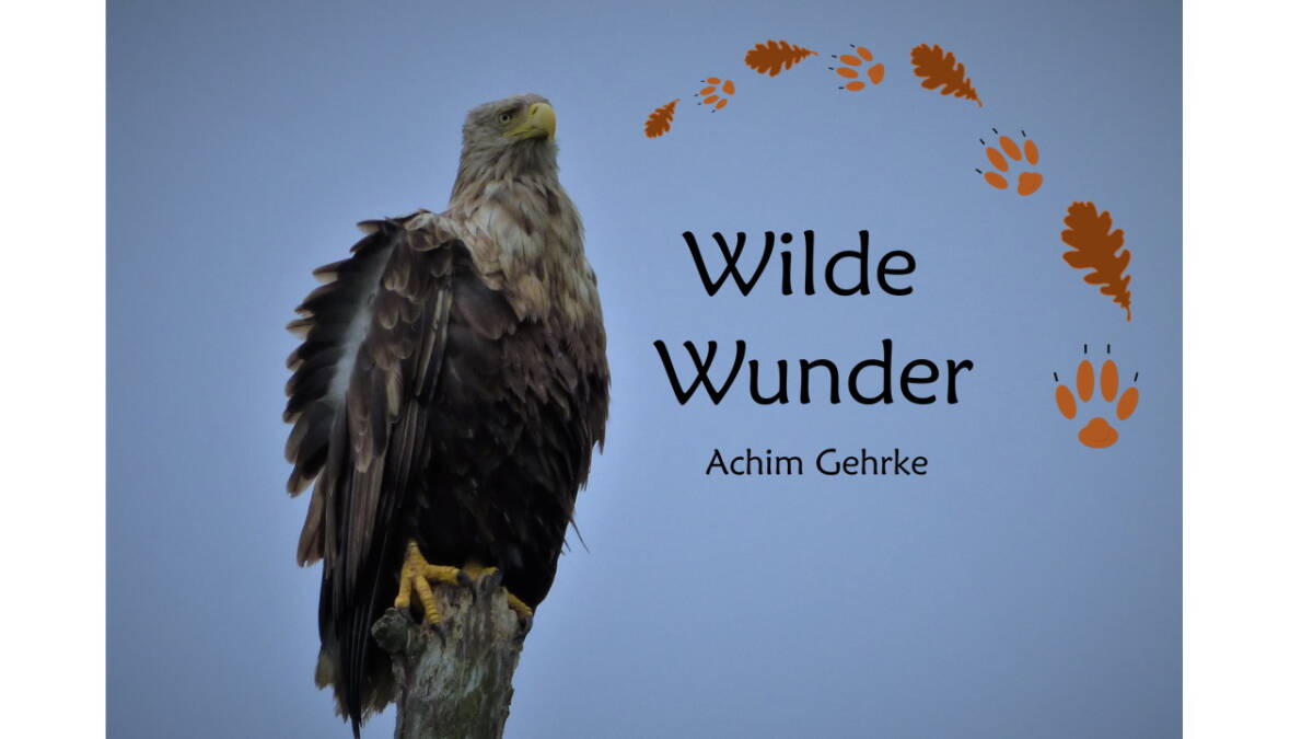 Wilde Wunder