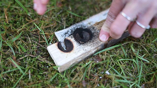 Wildnis-Survival-Kurs