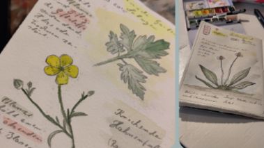 Nature Journaling