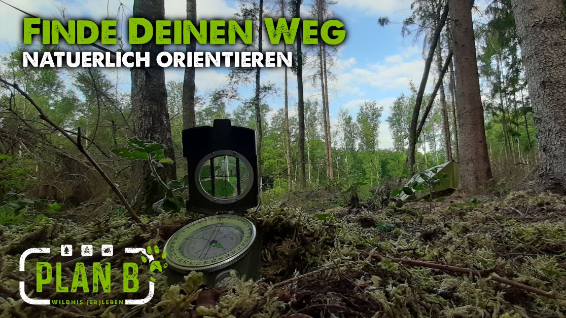 Orientierung, nicht nur in der Natur