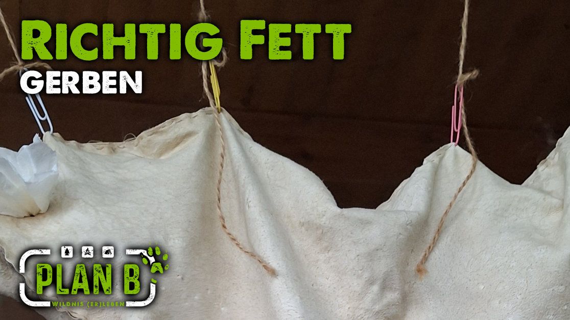 Leder gerben: Die Kunst der Fettgerbung (Buckskin)