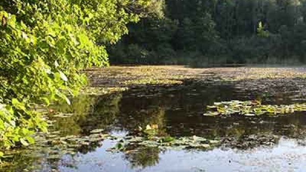 Einjährige Wildnispädagogik Berlin-Brandenburg