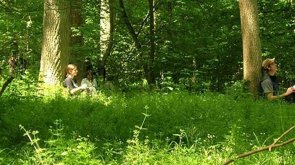 Einjährige Wildnispädagogik Bayern