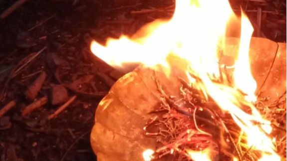 Herbst: Zeit des Wandels