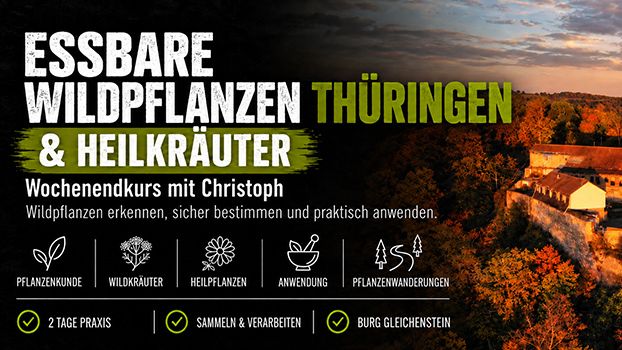 Essbare Wildpflanzen, Wildkräuter & Heilkräuter – Wochenendkurs