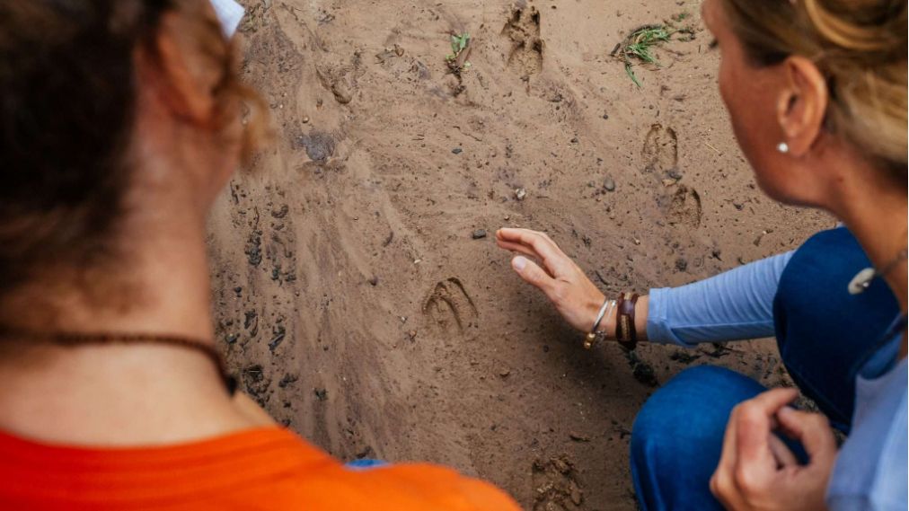 Wildnispädagogik Fährtenlesen 1, Upper North - Meer 2027