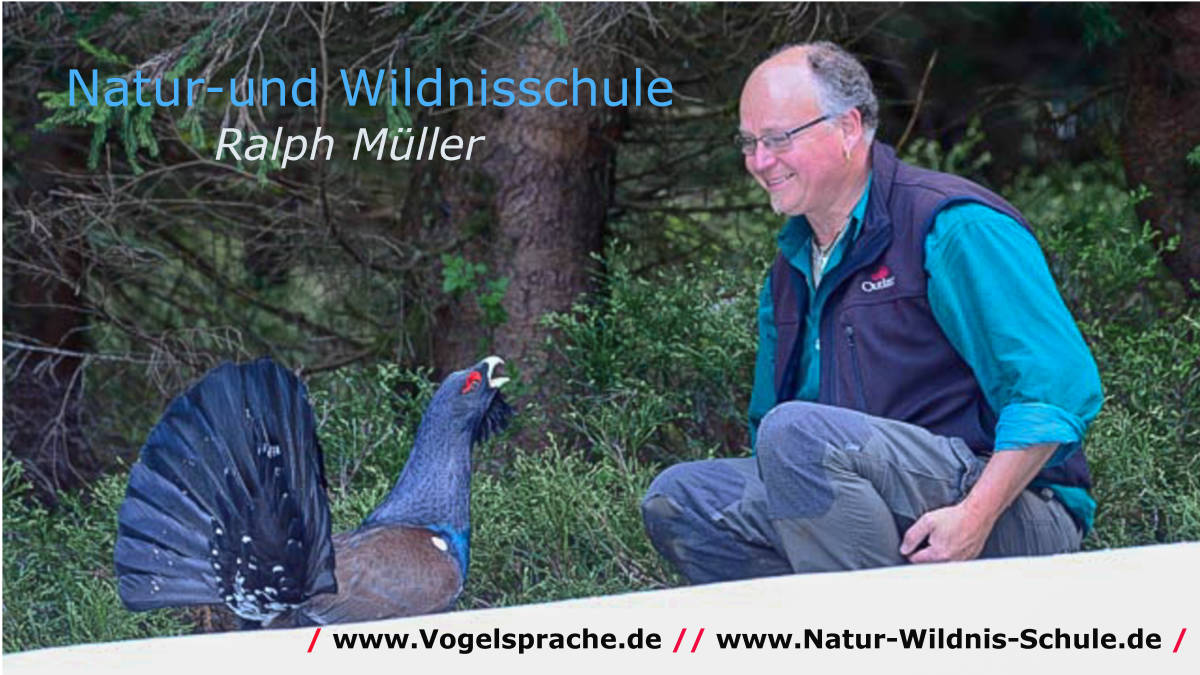 Ralph Müller Natur- und Wildnisschule 